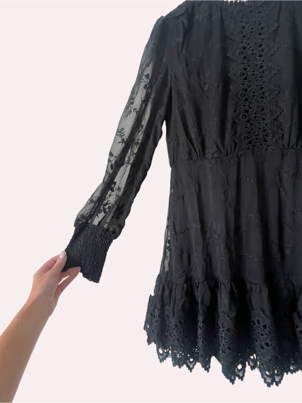 the clothing company Black Eyelet-Trim Crochet Embroidered Floral Mini Dress - Picture 3 of 10